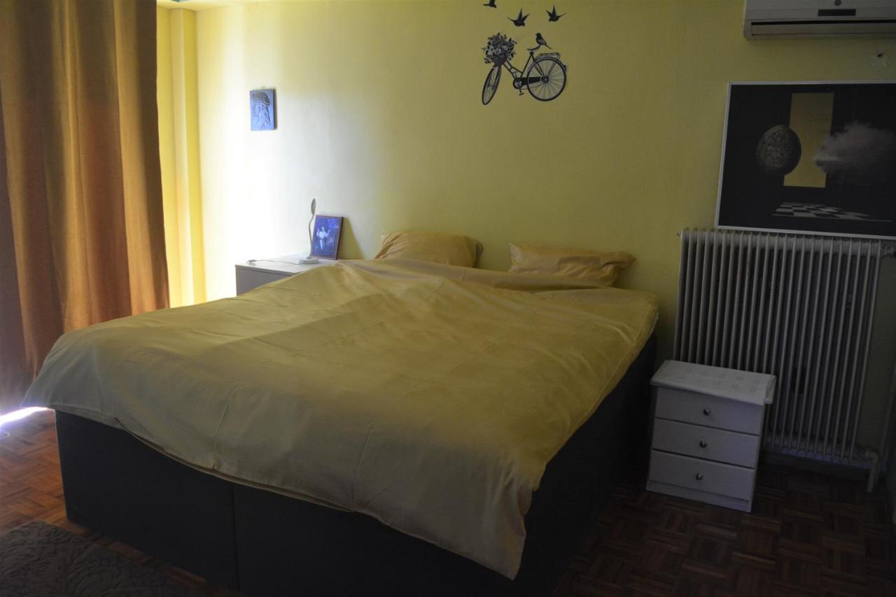 Spacious Apartment With Balconies, Ac, King Bed, Near Dt And Transports Atenas Exterior foto